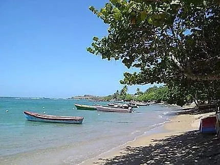 Studio Vue Mer Avec Terrasse Profitez De Tartane En Martinique Trinite  0*, Trinite (Tartane) Martinique